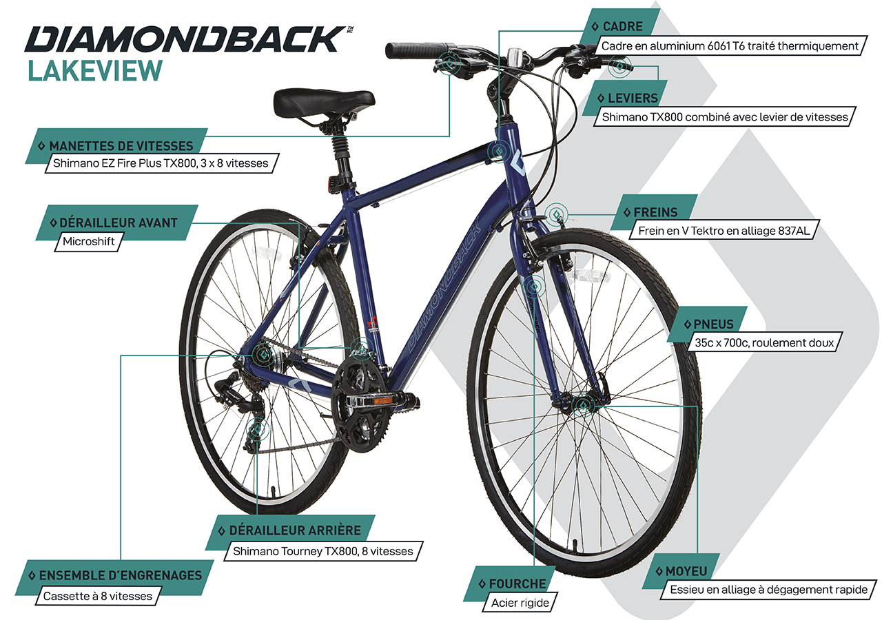 Vélo Hybride - Lakeview (700c) - Blue - infographic