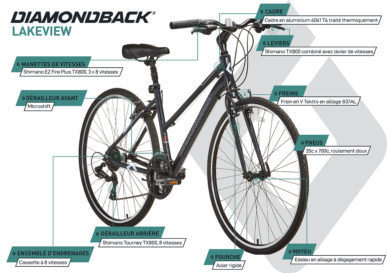 Vélo Hybride - Lakeview (700c) - Violet - infographic