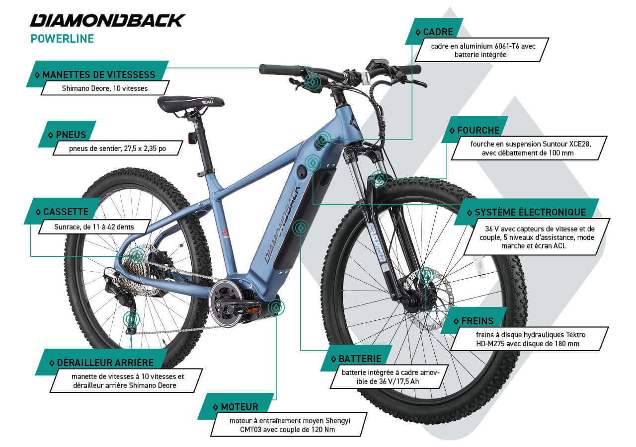 Diamondback Powerline - Vélo à assistance électrique pour adulte - infographic 